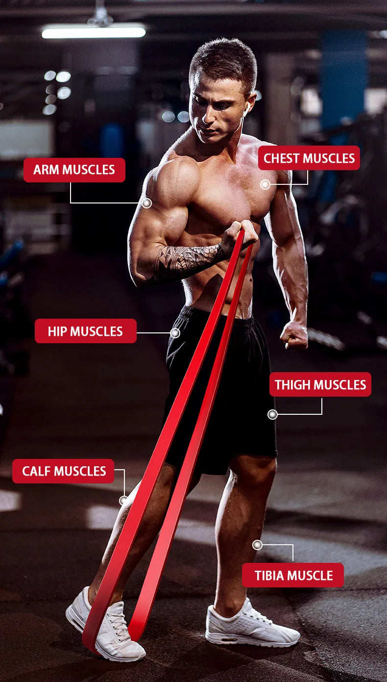 Resistance Band Set - Pull-Up Assistance & Stretch Bands