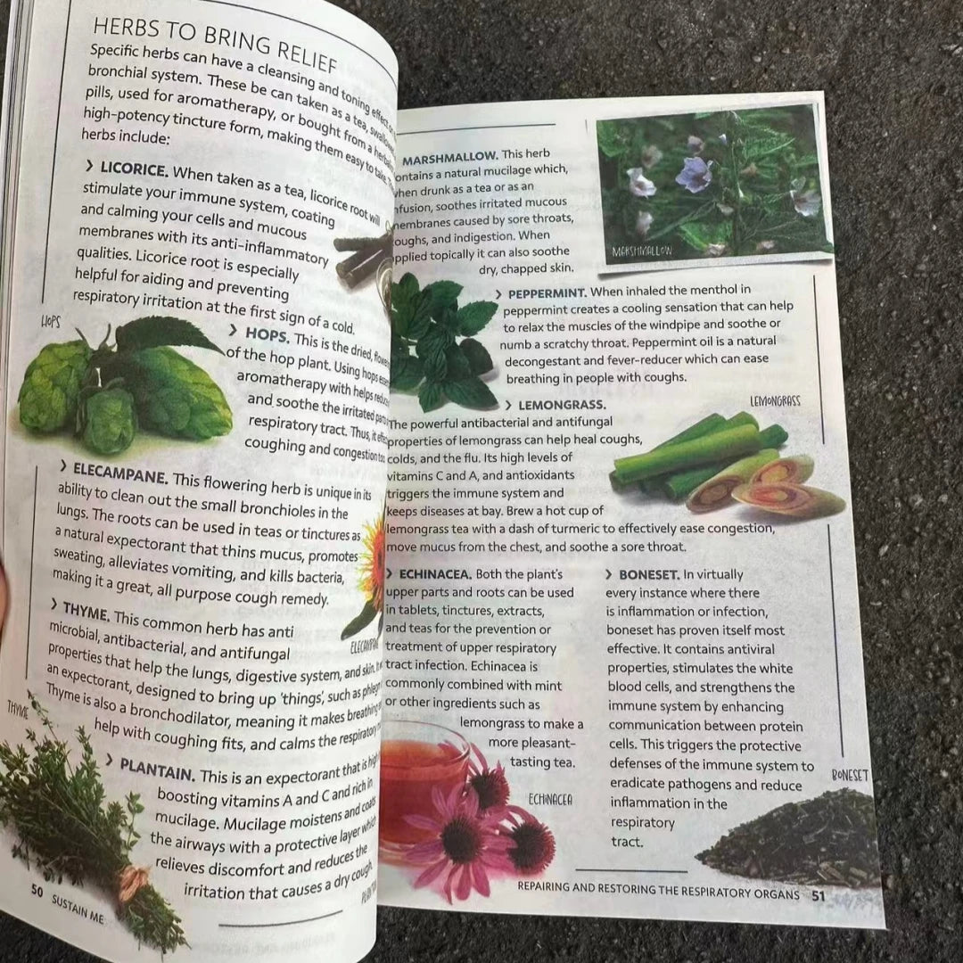 Sustain Me Book - Inspirational Life Enhancement Guide